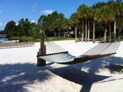 Caribbean Beach Resort Hammock