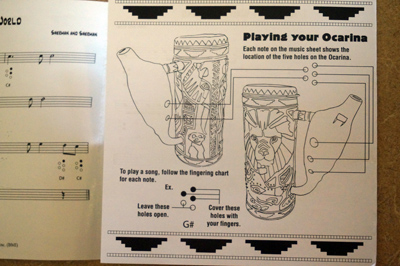 The tumbler comes with instructions.