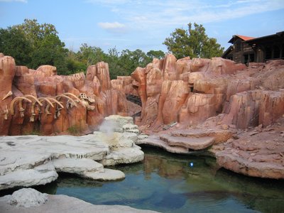 On Big Thunder Mountain you will ride past pools of water and also dinosaur bones.
