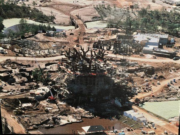 The internal structure of the Tree of Life begins to take form at Disney's Animal Kingdom. Photo credits (C) Disney Enterprises, Inc. All Rights Reserved 
