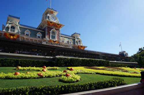 As you enter the Magic Kingdom you will see the entry flower bed has turned into a pumpkin patch.