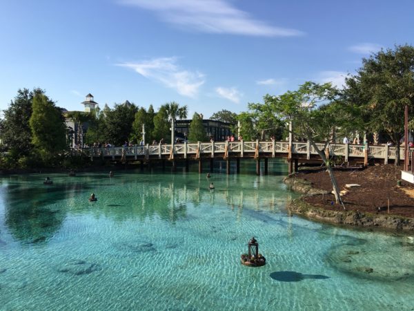 The Top Six Water Views at Disney Springs.