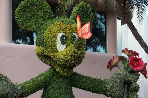 It takes months and the hard work of many skilled artisans to create a Disney topiary.