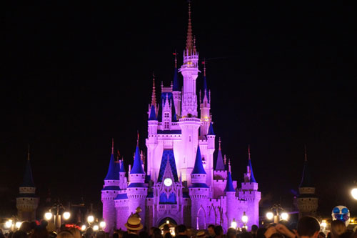 Guidebooks can help you plan the details of your next Disney World vacation.