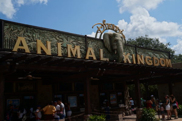 The Top Six Imagineering Insights in Disney's Animal Kingdom.