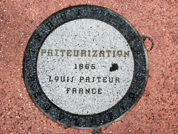 Louis Pasteur is also responsible for creating a process known as pasteurization, which eliminates pathogens, reduces spoilage organisms, and eliminates bacteria to extend the shelf-life of products. Pasteurization also makes it less likely that our digestive systems will be disturbed by such bacteria.