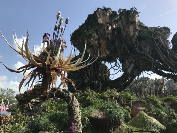 From mountains to flowers, Pandora has it all. The plant in the front is a "Grinch Tree."