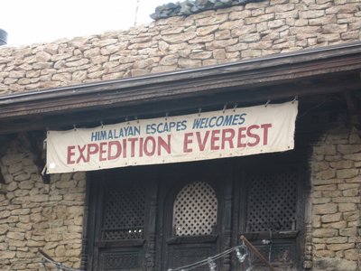 Expedition Everest is a thrilling, highly themed roller coaster at Disney's Animal Kingdom.