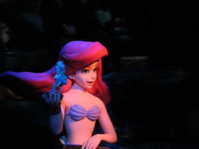 In the opening scene, Ariel admires things from the human world.